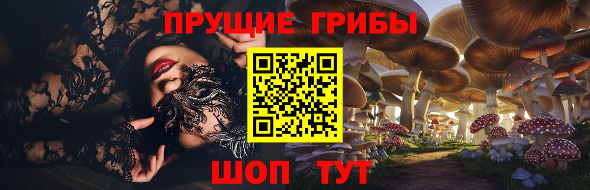 Галлюциногенные грибы ЛСД  Галлюциногенные грибы Psilocybe  дарнет шоп  Вход с VPN  Златоуст 